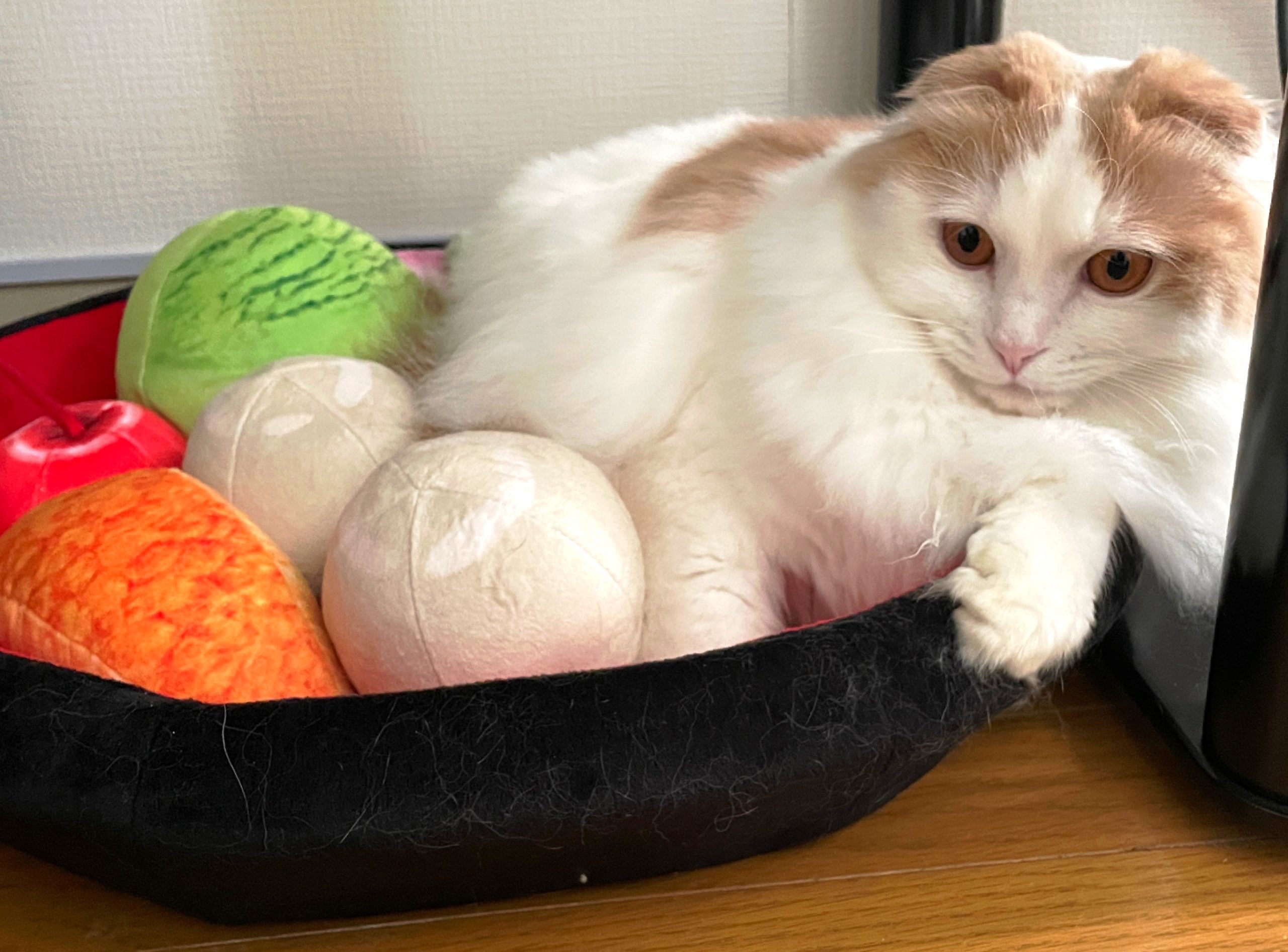 あんみつにゃんこの完成